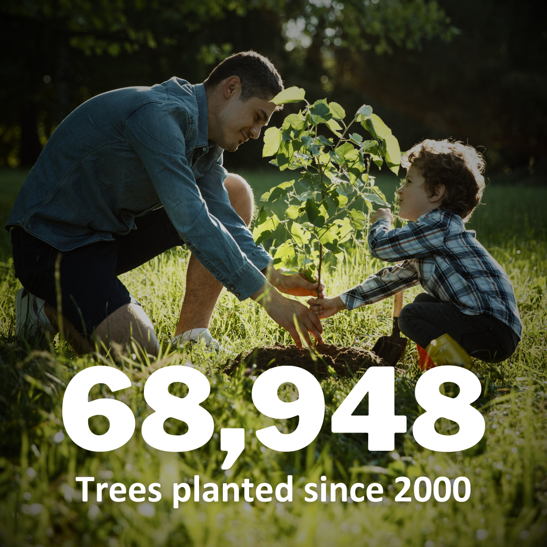 Father and son planting a tree; 68,948 tress planted since 2000